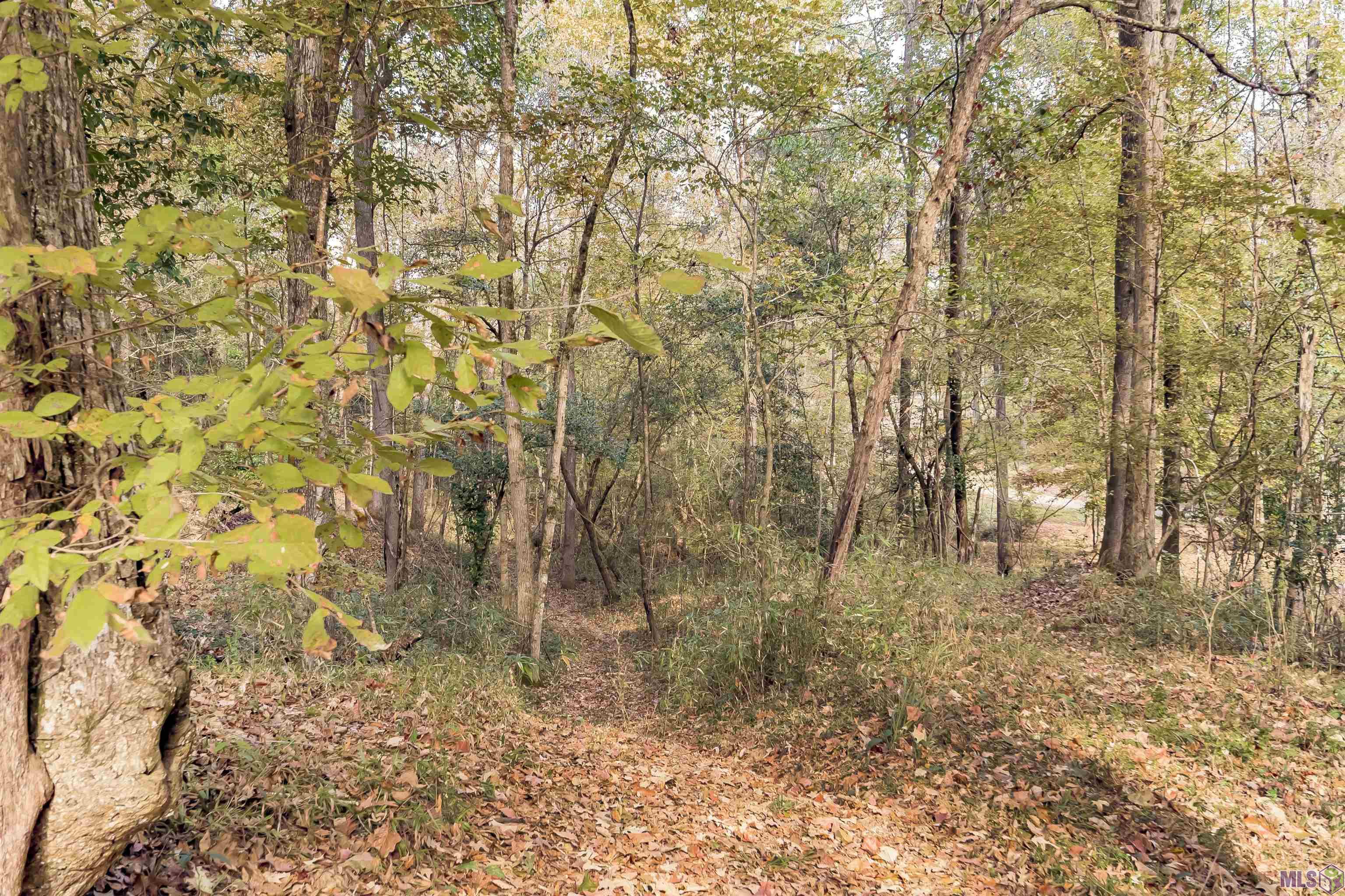 9839 Byrnes Road St. Francisville, LA 70775 - Photo 39 of 47