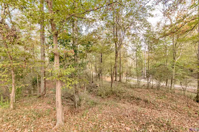 $567,000 | 9839 Byrnes Road, St. Francisville, LA 70775