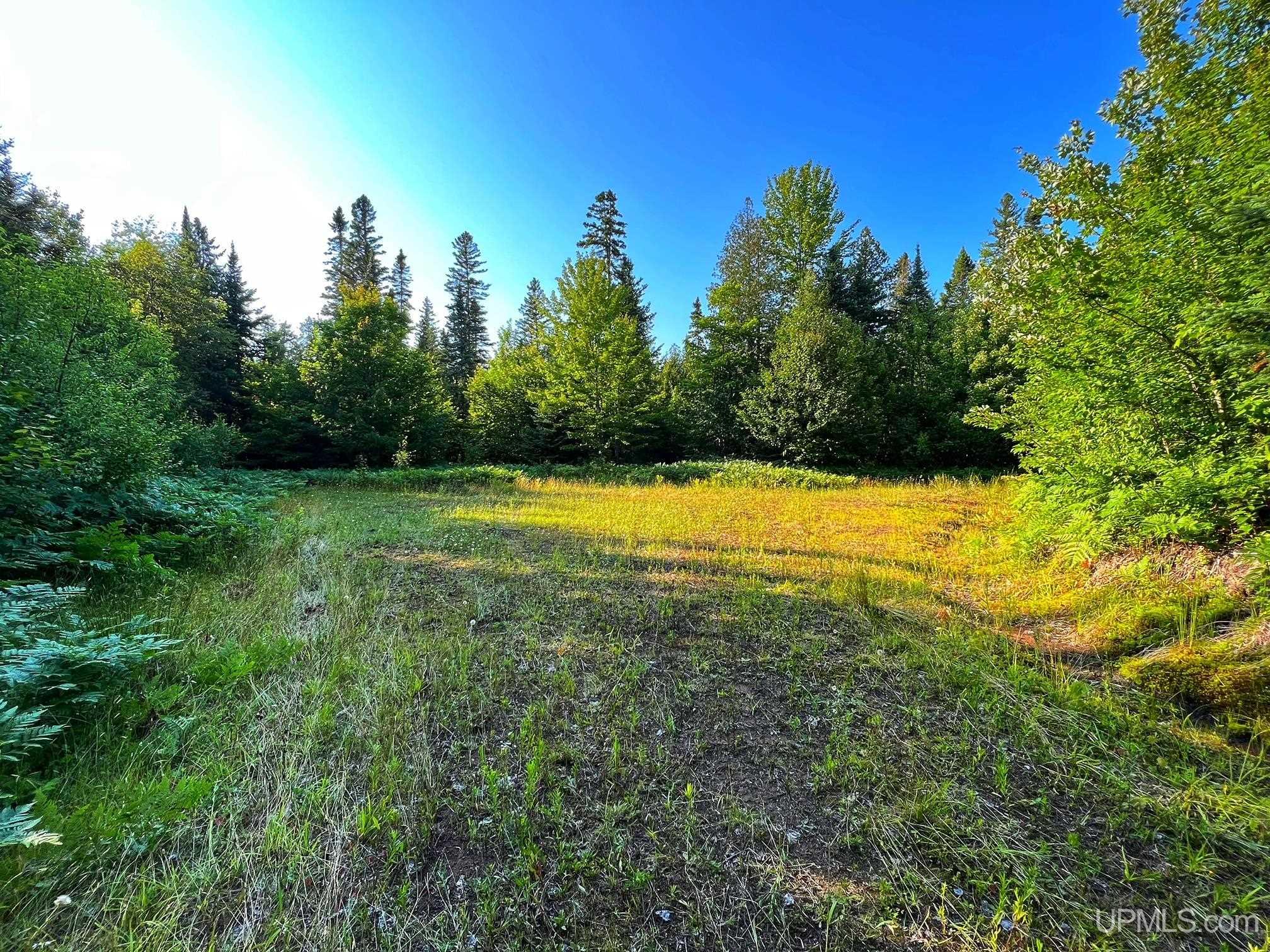 31357 Mud Lake Road Lake Linden, MI 49945 - Photo 34 of 47