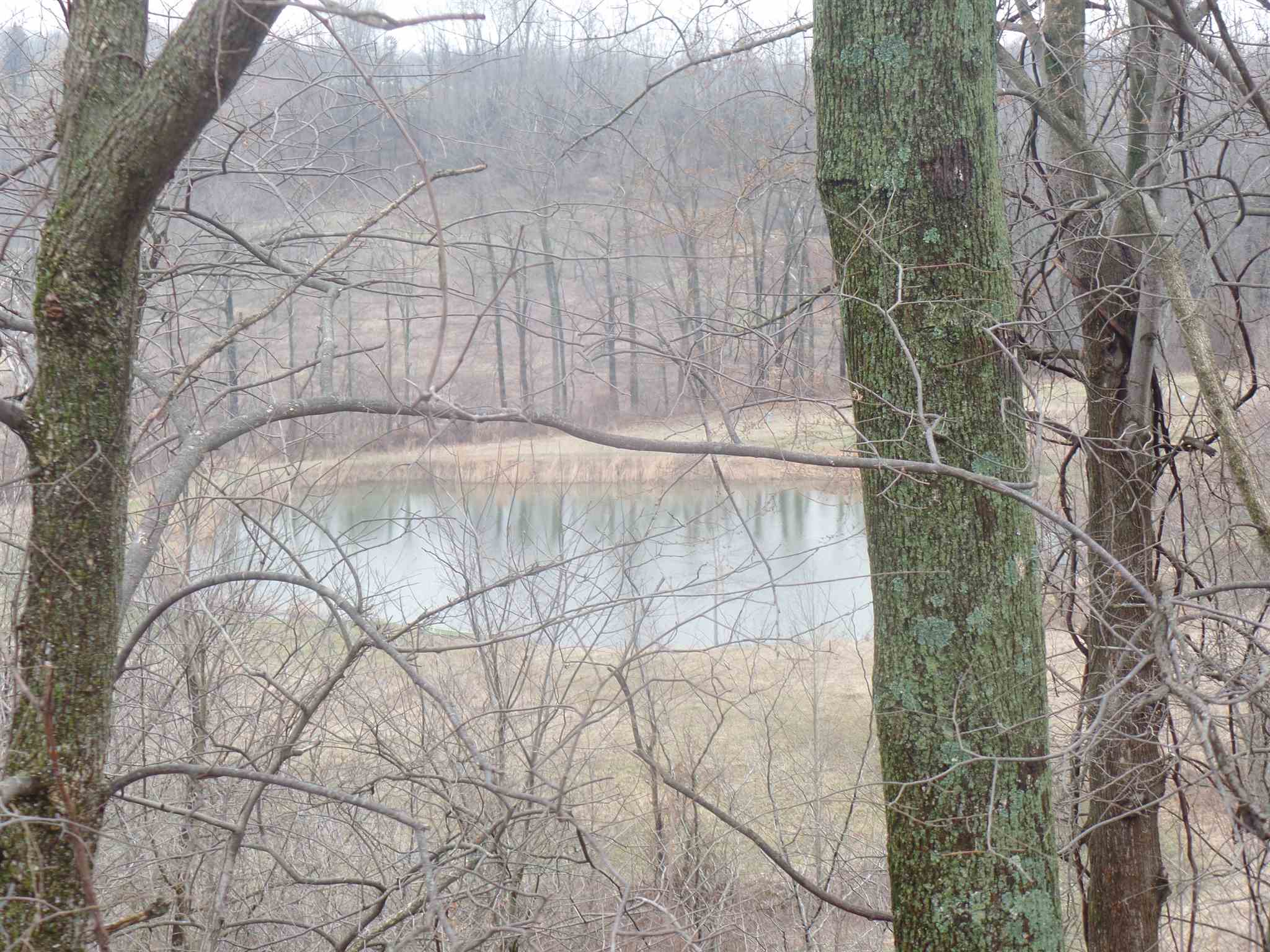 1736 South Walnut Grove Road Bloomfield, IN 47424 - Photo 14 of 17