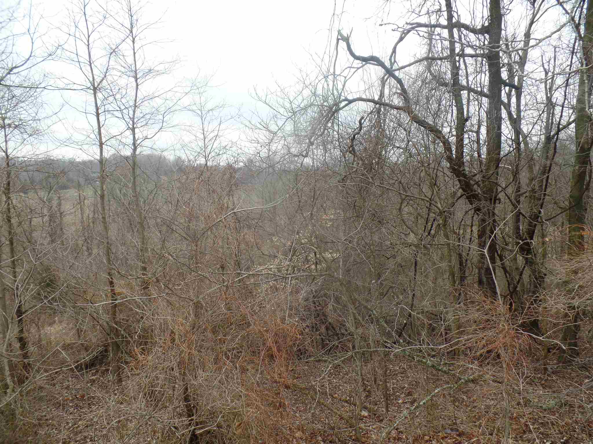 1736 South Walnut Grove Road Bloomfield, IN 47424 - Photo 16 of 17