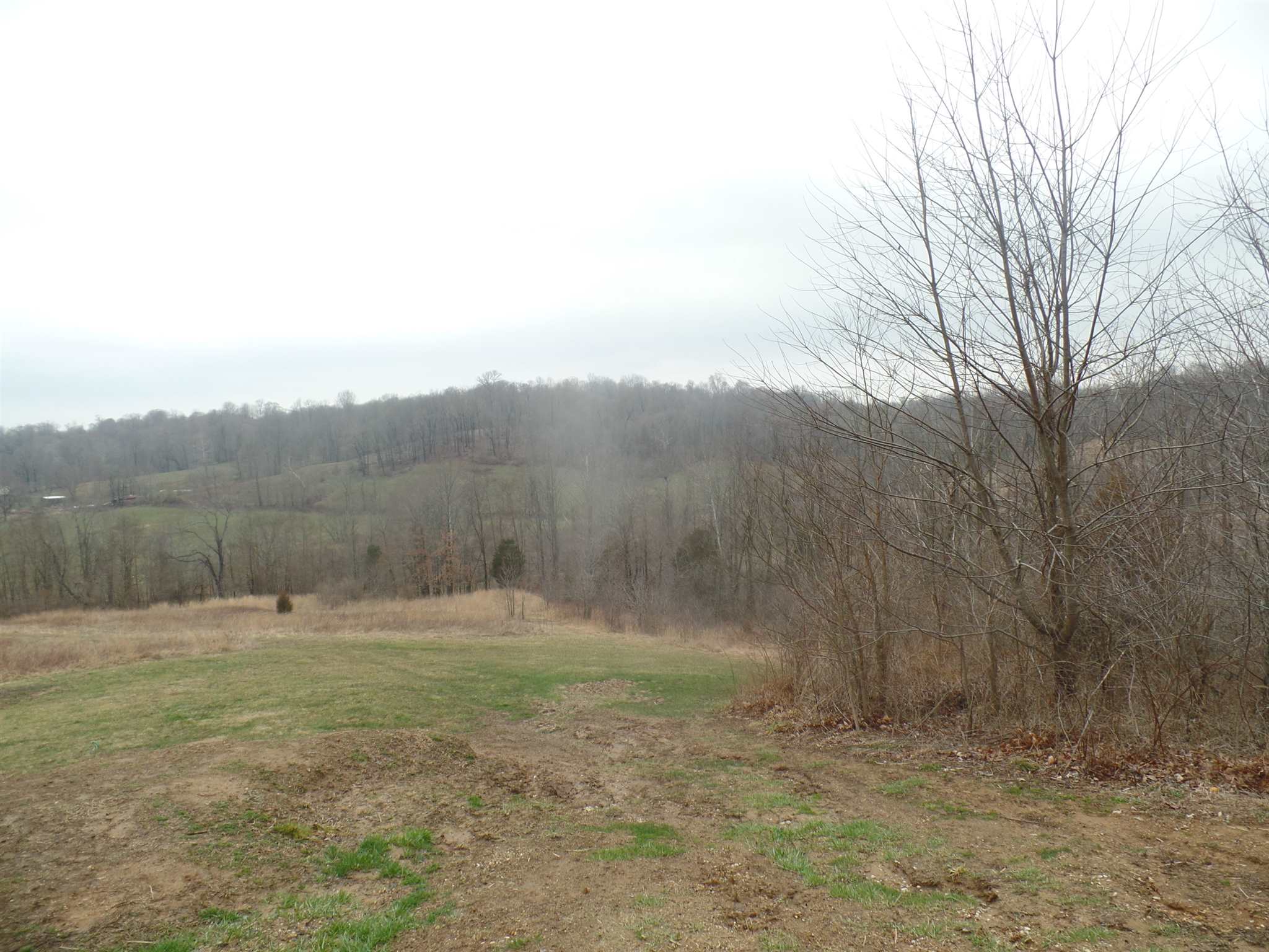 1736 South Walnut Grove Road Bloomfield, IN 47424 - Photo 17 of 17