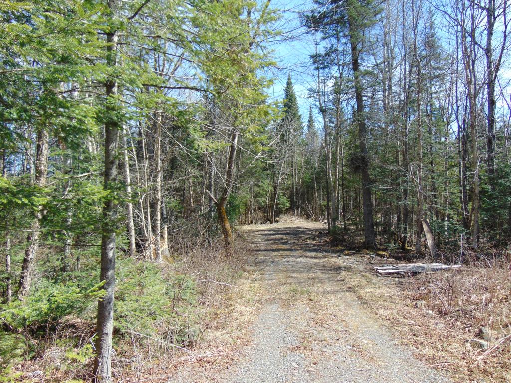 23 Rogers Pond Road Pittsburg, NH 03592 - Photo 23 of 24 Gallery Image 23