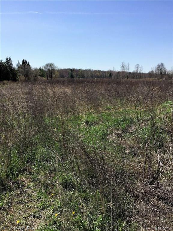 0 Big Hand Road St. Clair, MI 48079 - Photo 1 of 2