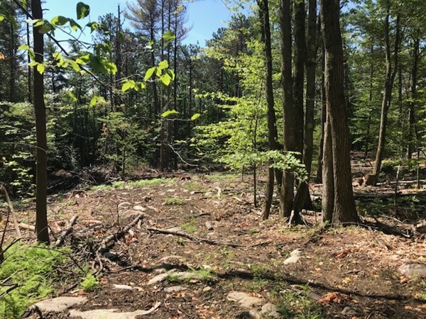0 West State Road Ashby, MA 01431 - Photo 1 of 5