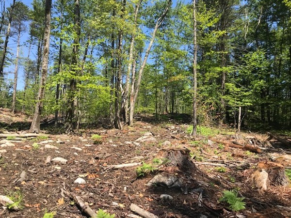 0 West State Road Ashby, MA 01431 - Photo 3 of 5