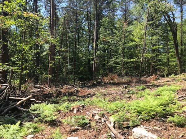 0 West State Road Ashby, MA 01431 - Photo 4 of 5