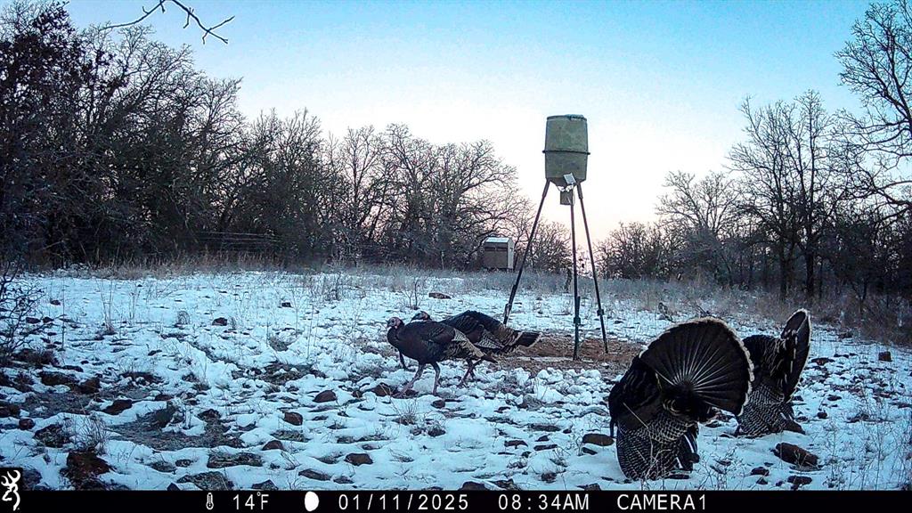 Tbd Bloodworth Road Bowie, TX 76230 - Photo 18 of 25
