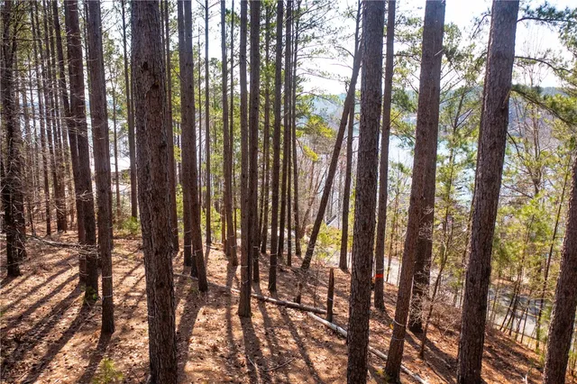 $195,500 | 201 Deep Cove Point, Sunset, SC 29685