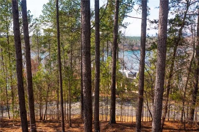 $195,500 | 201 Deep Cove Point, Sunset, SC 29685