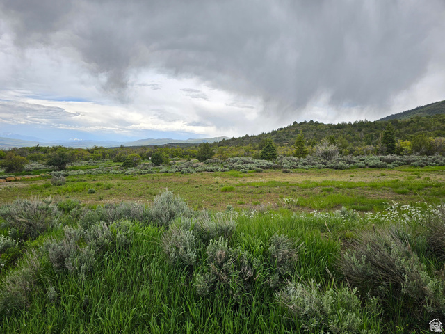 3 Whispering Pines Road, Unit 3 Mount Pleasant, UT 84647 - Photo 5 of 8