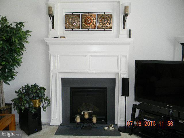 1702 Conrads Ferry Drive Point of Rocks, MD 21777 - Photo 14 of 29 a living room with a fireplace furniture and a potted plant