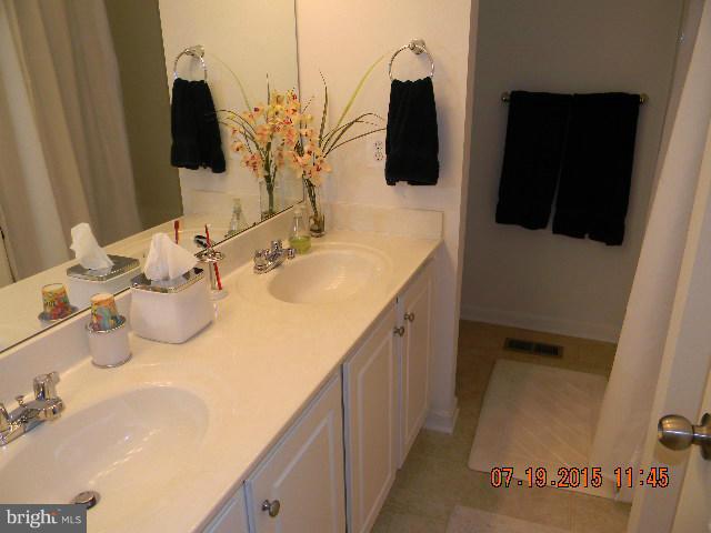 1702 Conrads Ferry Drive Point of Rocks, MD 21777 - Photo 20 of 29 a bathroom with a sink and mirror