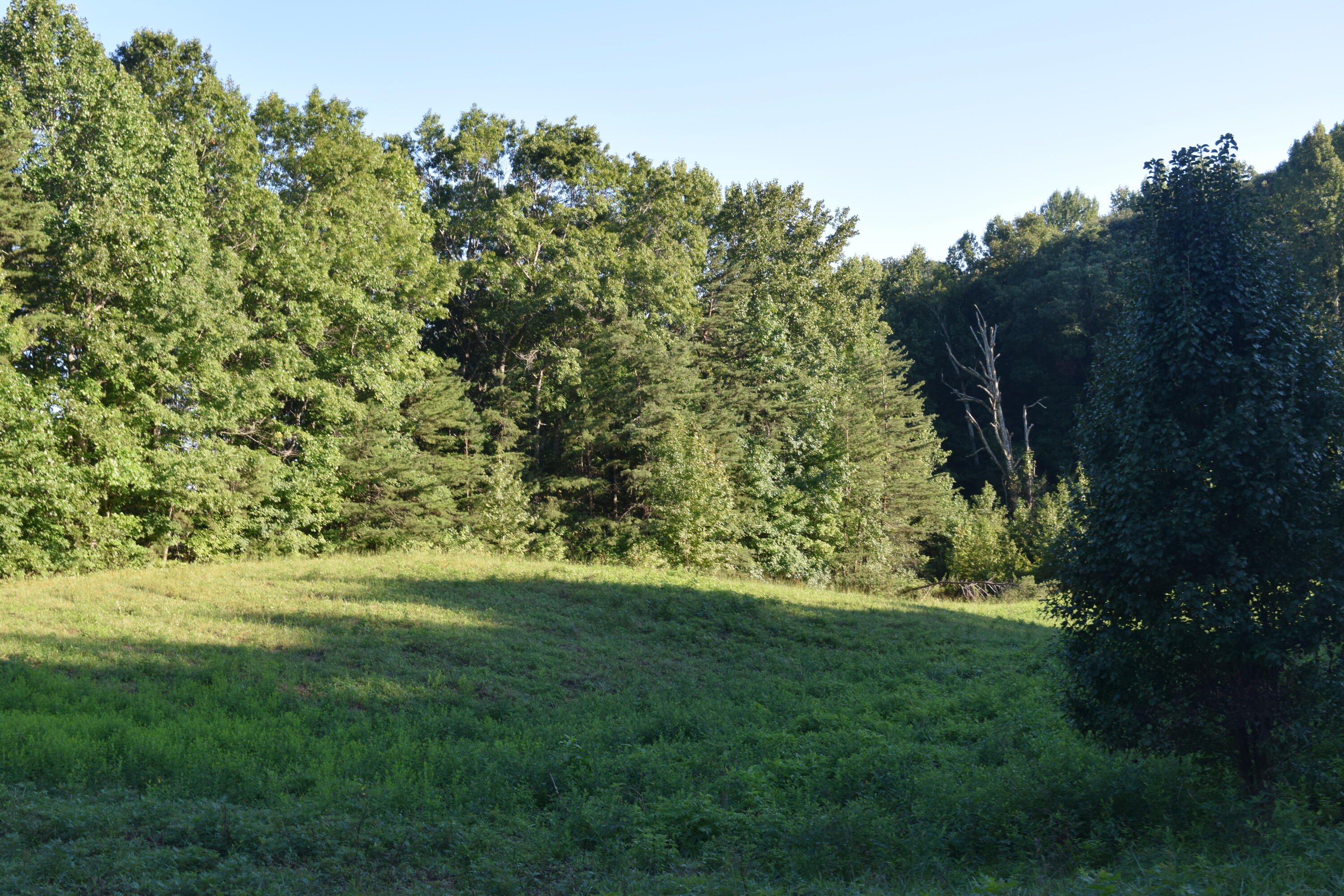 2091 Somerset Road London, KY 40741 - Photo 10 of 36 DSC_0007