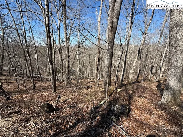 $18,000 | Lot 45 Happyland Road, Unit 45, Grassy Creek, NC 28631