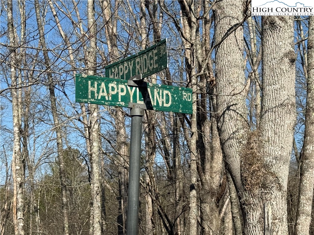 Lot 45 Happyland Road, Unit 45 Grassy Creek, NC 28631 - Photo 2 of 9 a view of a tree with a yard