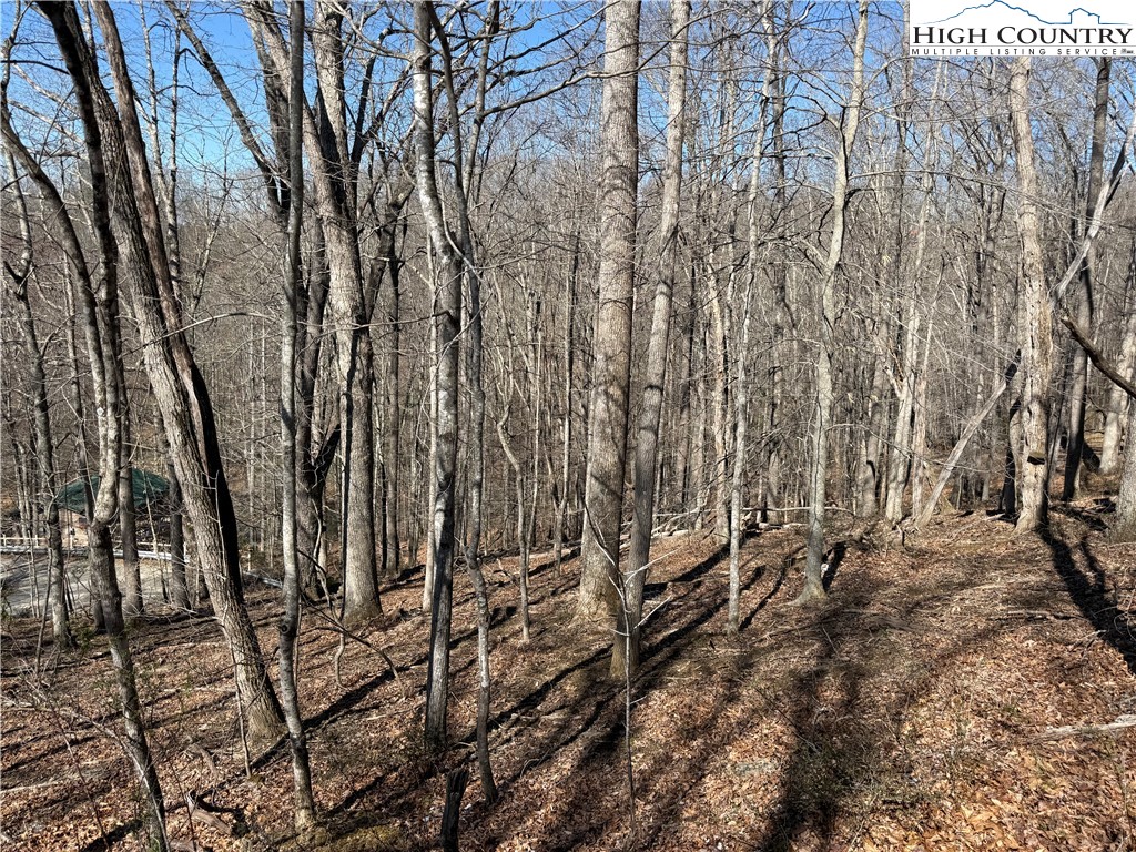 Lot 45 Happyland Road, Unit 45 Grassy Creek, NC 28631 - Photo 3 of 9 a view of covered with snow
