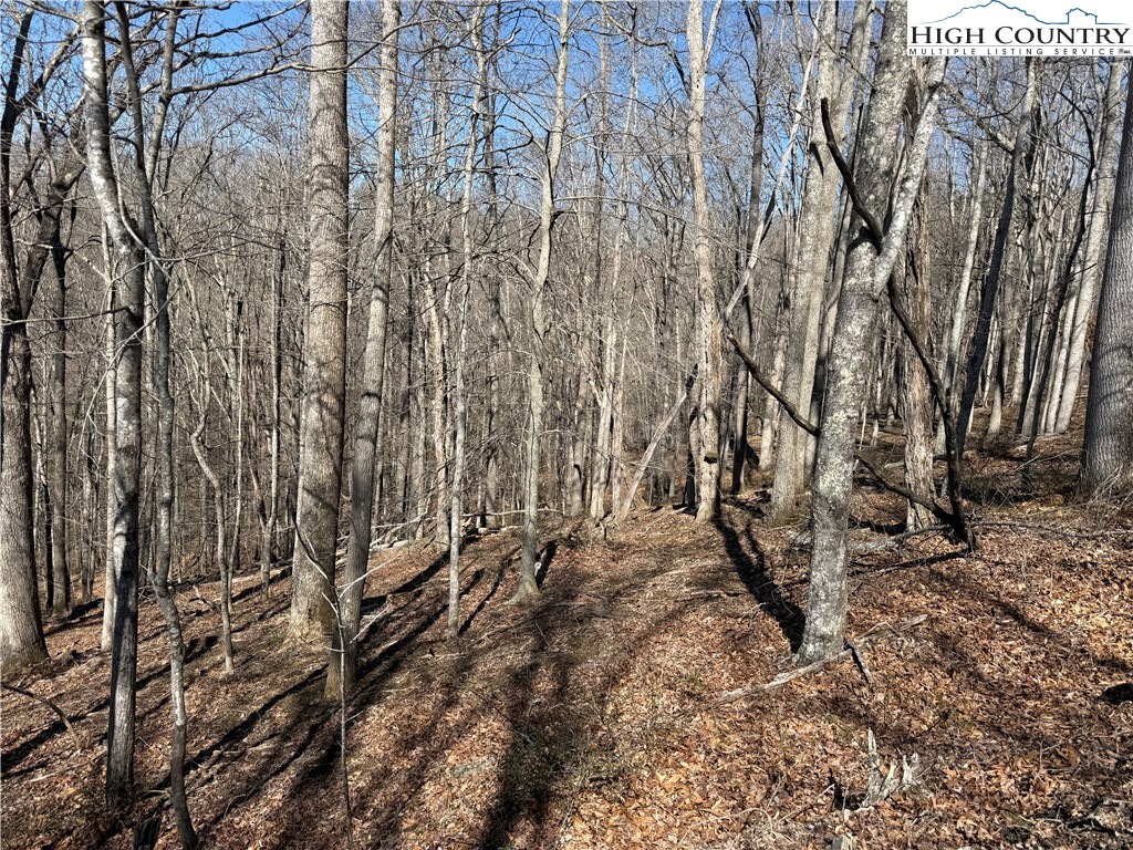 Lot 45 Happyland Road, Unit 45 Grassy Creek, NC 28631 - Photo 4 of 9 a view of a yard with a trees