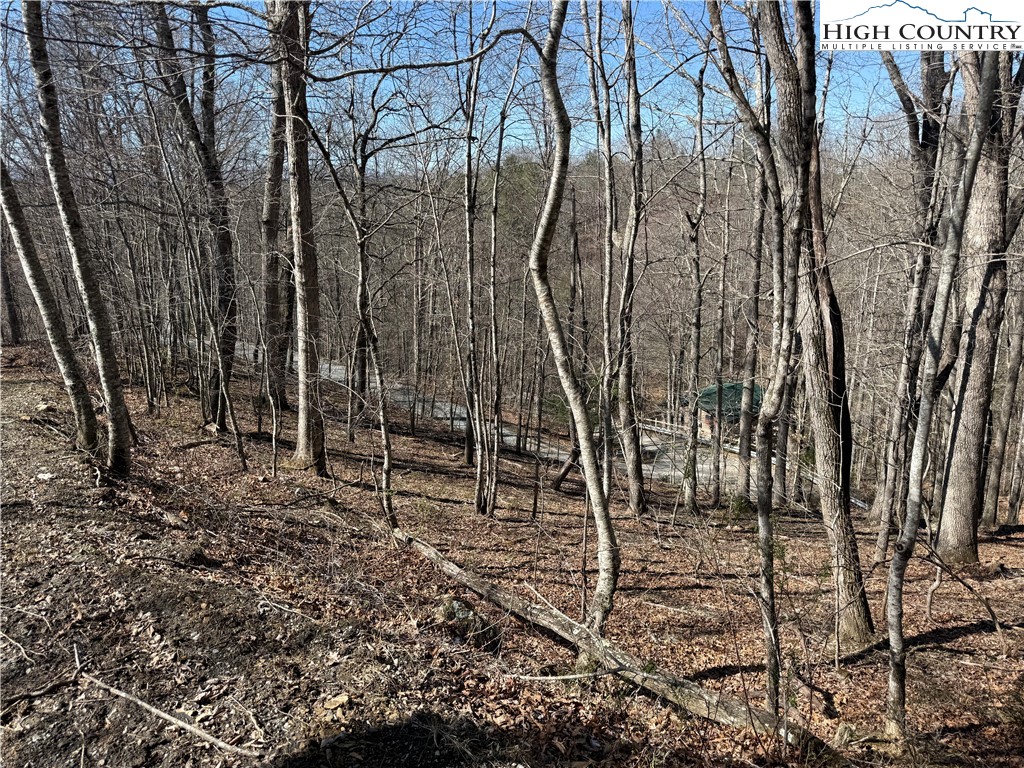 Lot 45 Happyland Road, Unit 45 Grassy Creek, NC 28631 - Photo 5 of 9 a backyard of a house with lots of green space