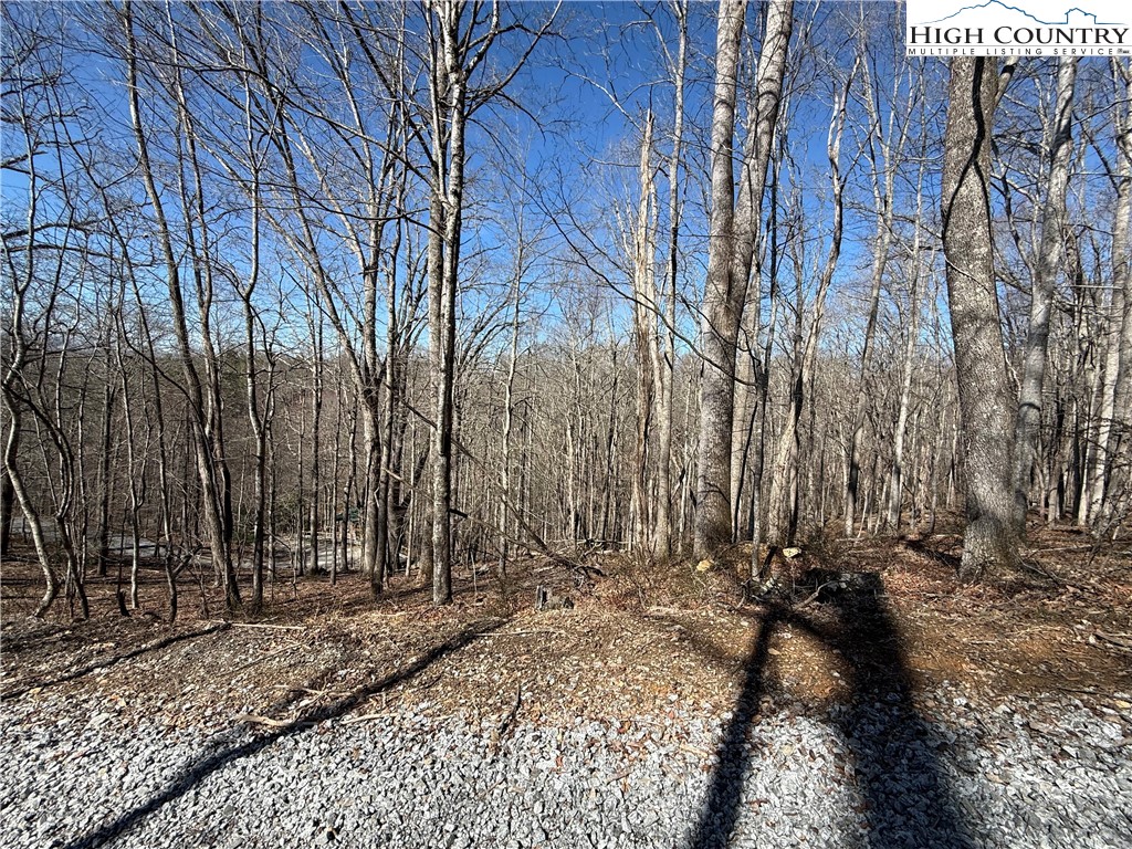 Lot 45 Happyland Road, Unit 45 Grassy Creek, NC 28631 - Photo 6 of 9 a view of a yard with trees
