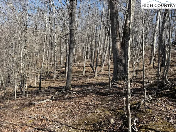 $18,000 | Lot 45 Happyland Road, Unit 45, Grassy Creek, NC 28631