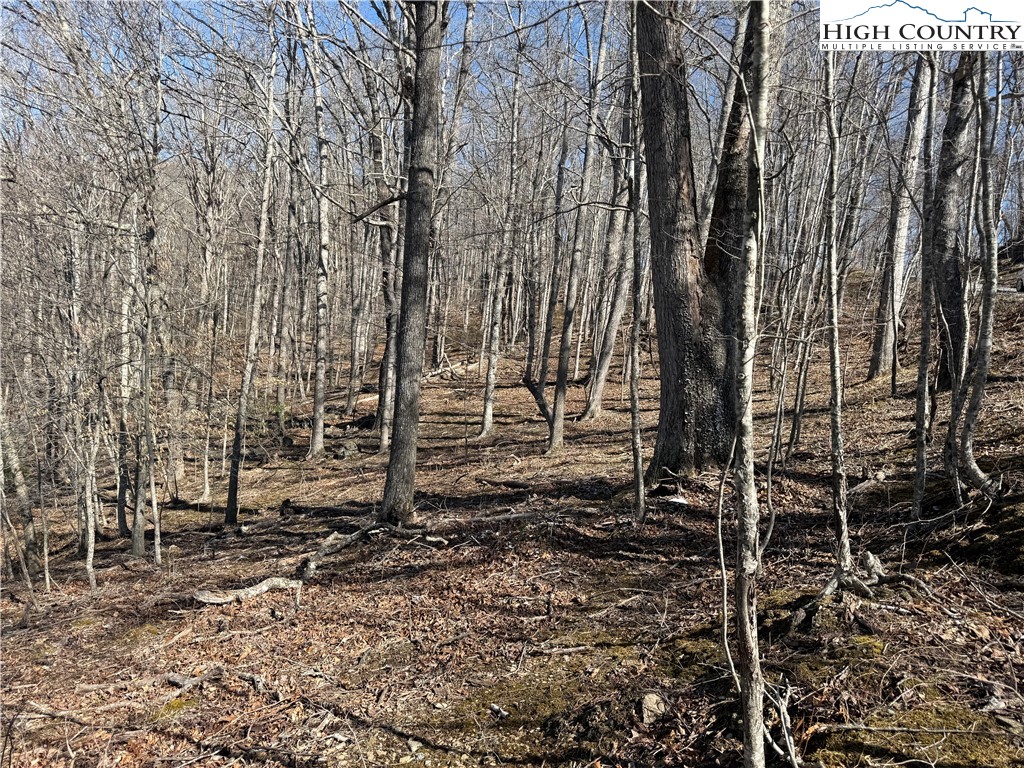 Lot 45 Happyland Road, Unit 45 Grassy Creek, NC 28631 - Photo 7 of 9 a view of house with yard