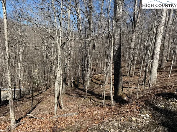 $18,000 | Lot 45 Happyland Road, Unit 45, Grassy Creek, NC 28631