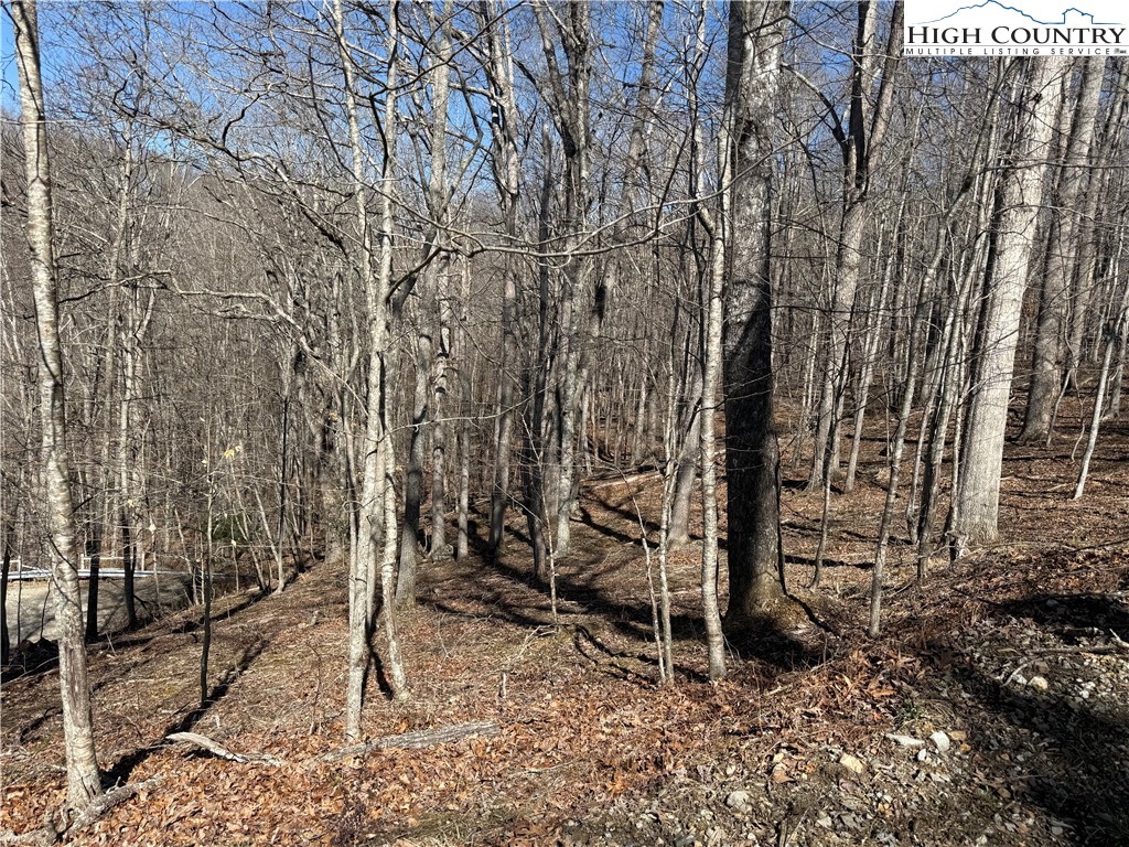 Lot 45 Happyland Road, Unit 45 Grassy Creek, NC 28631 - Photo 8 of 9 a backyard of a house with lots of green space