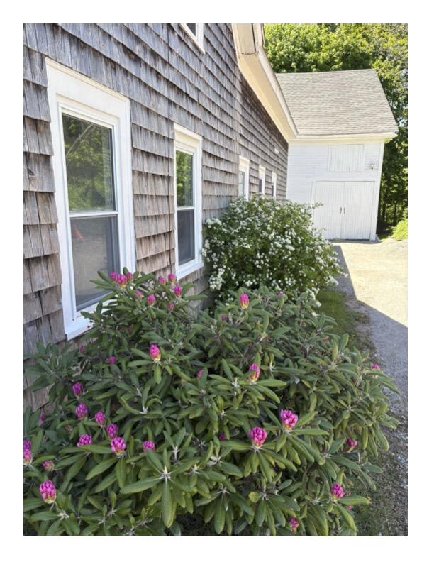 12 Middle Road Woolwich, ME 04579 - Photo 2 of 4 flowers-12 middle