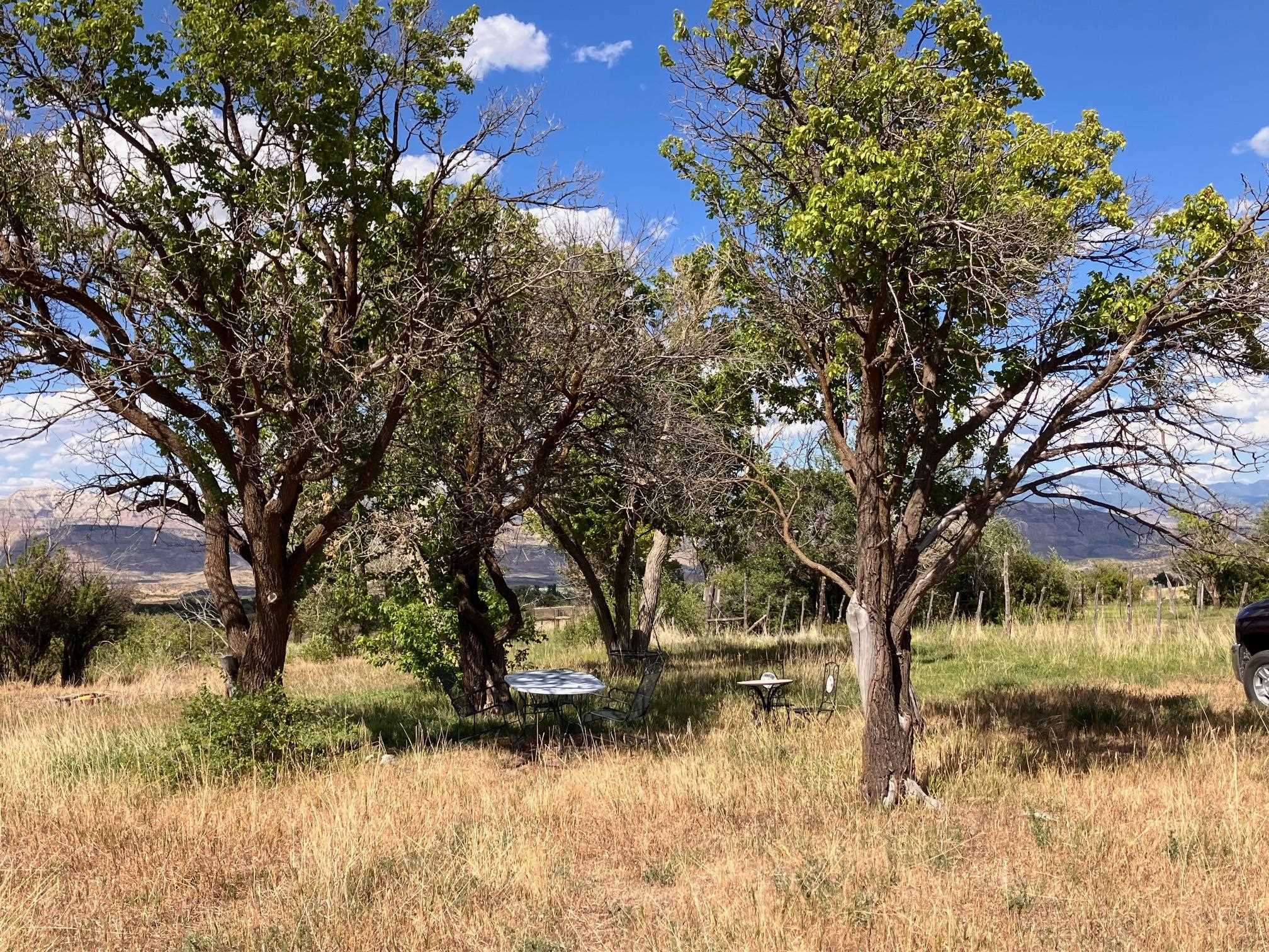 9440 48 2/10 Road Mesa, CO 81643 - Photo 12 of 29