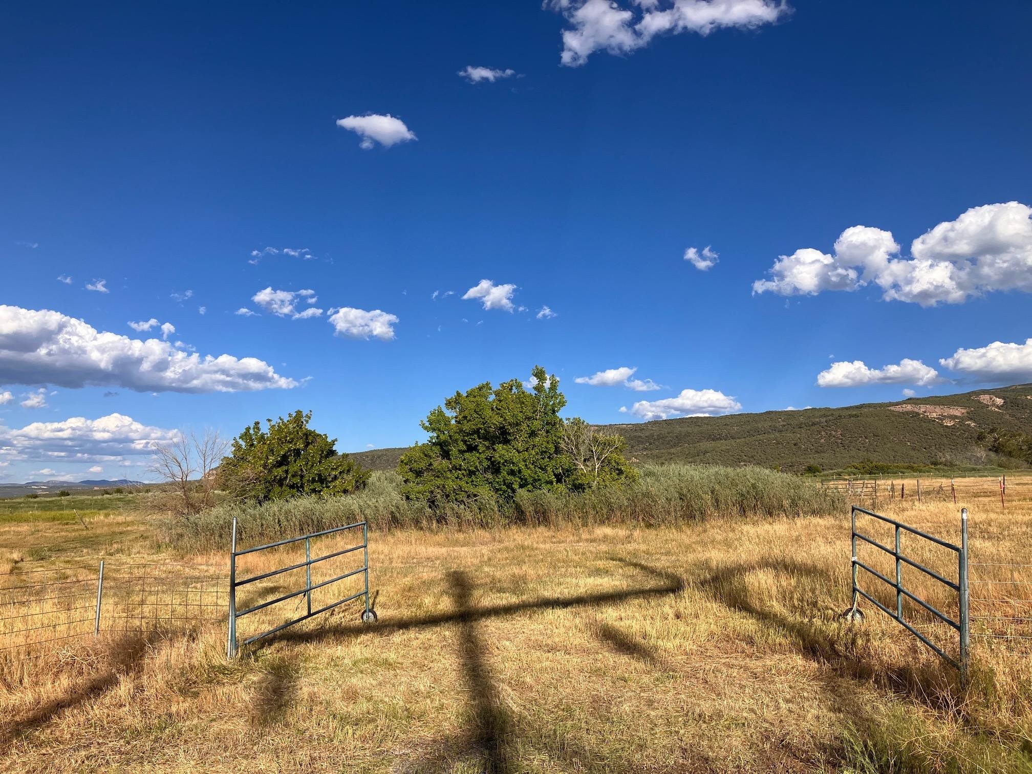 9440 48 2/10 Road Mesa, CO 81643 - Photo 13 of 29