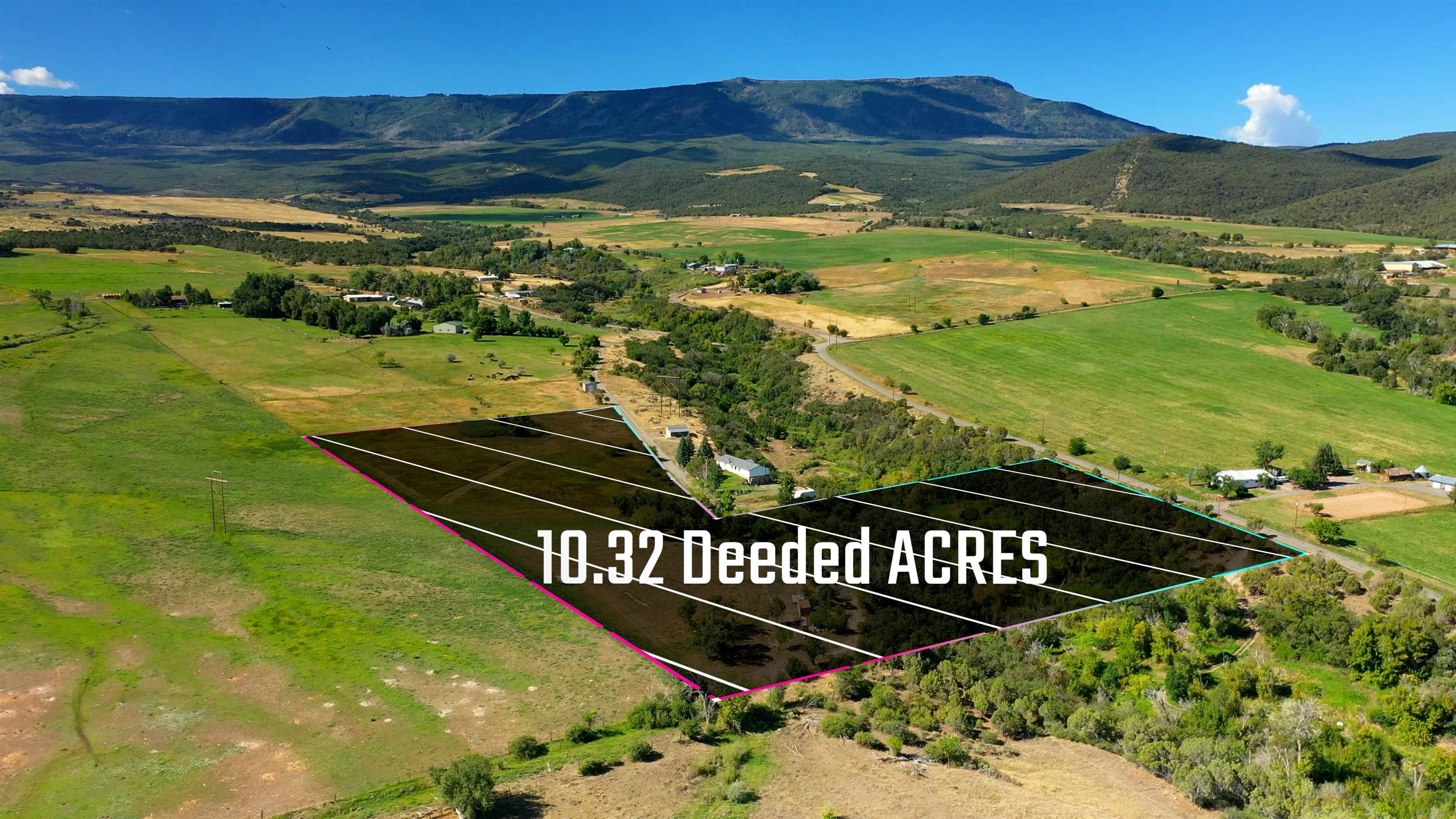 9440 48 2/10 Road Mesa, CO 81643 - Photo 14 of 29