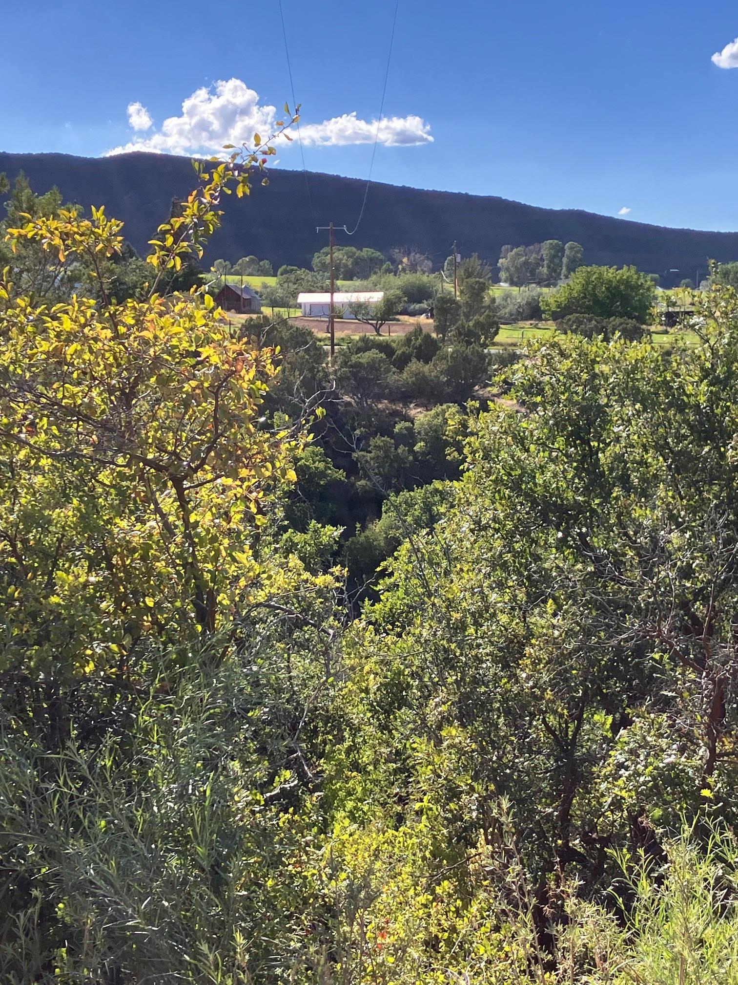 9440 48 2/10 Road Mesa, CO 81643 - Photo 15 of 29