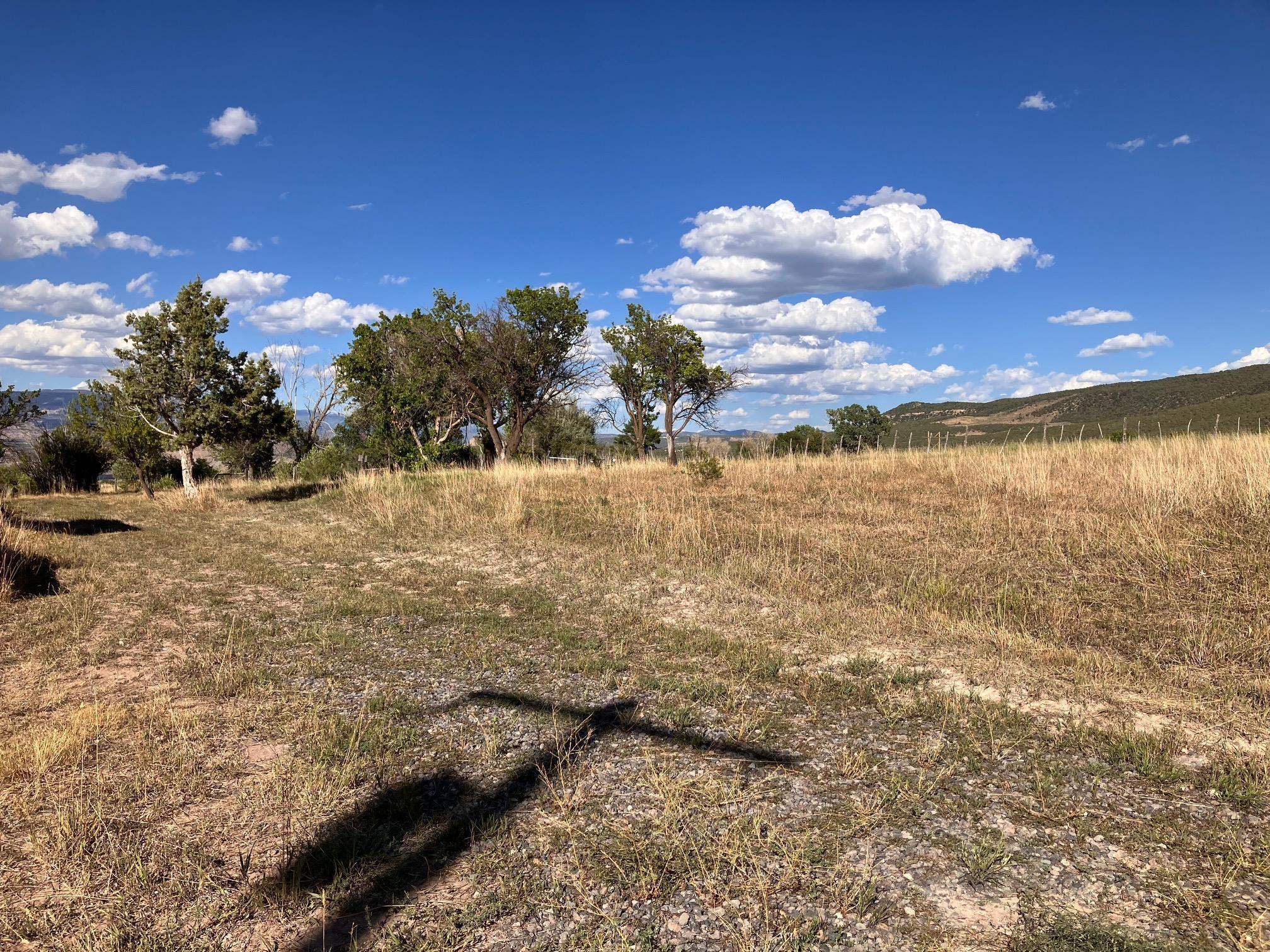 9440 48 2/10 Road Mesa, CO 81643 - Photo 17 of 29