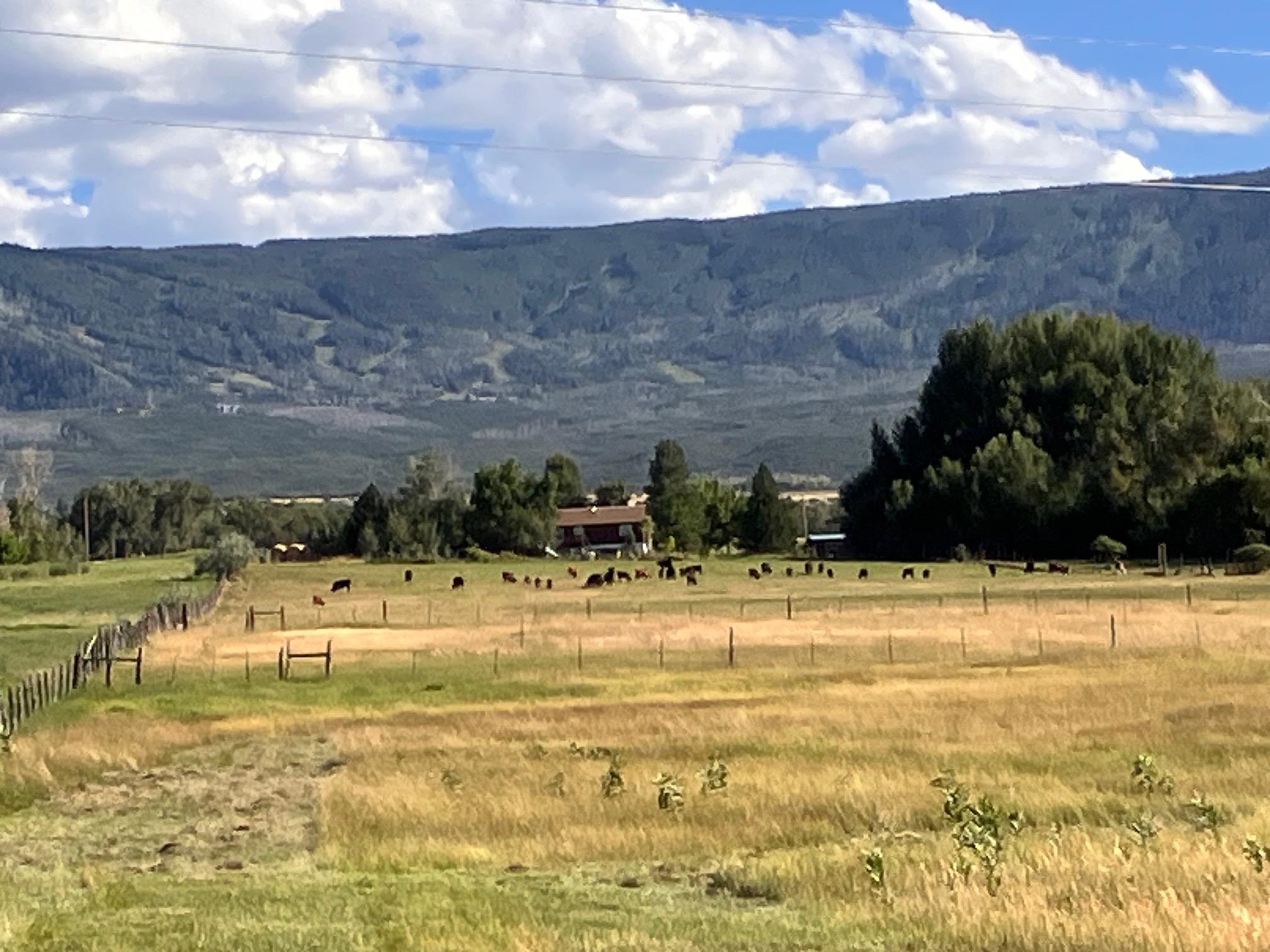 9440 48 2/10 Road Mesa, CO 81643 - Photo 20 of 29