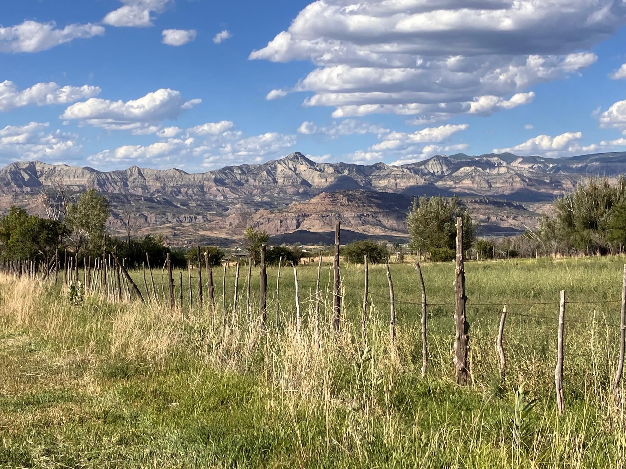9440 48 2/10 Road Mesa, CO 81643 - Photo 2 of 29