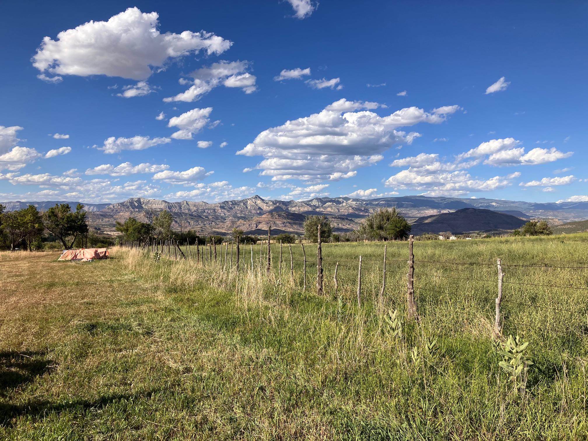 9440 48 2/10 Road Mesa, CO 81643 - Photo 22 of 29