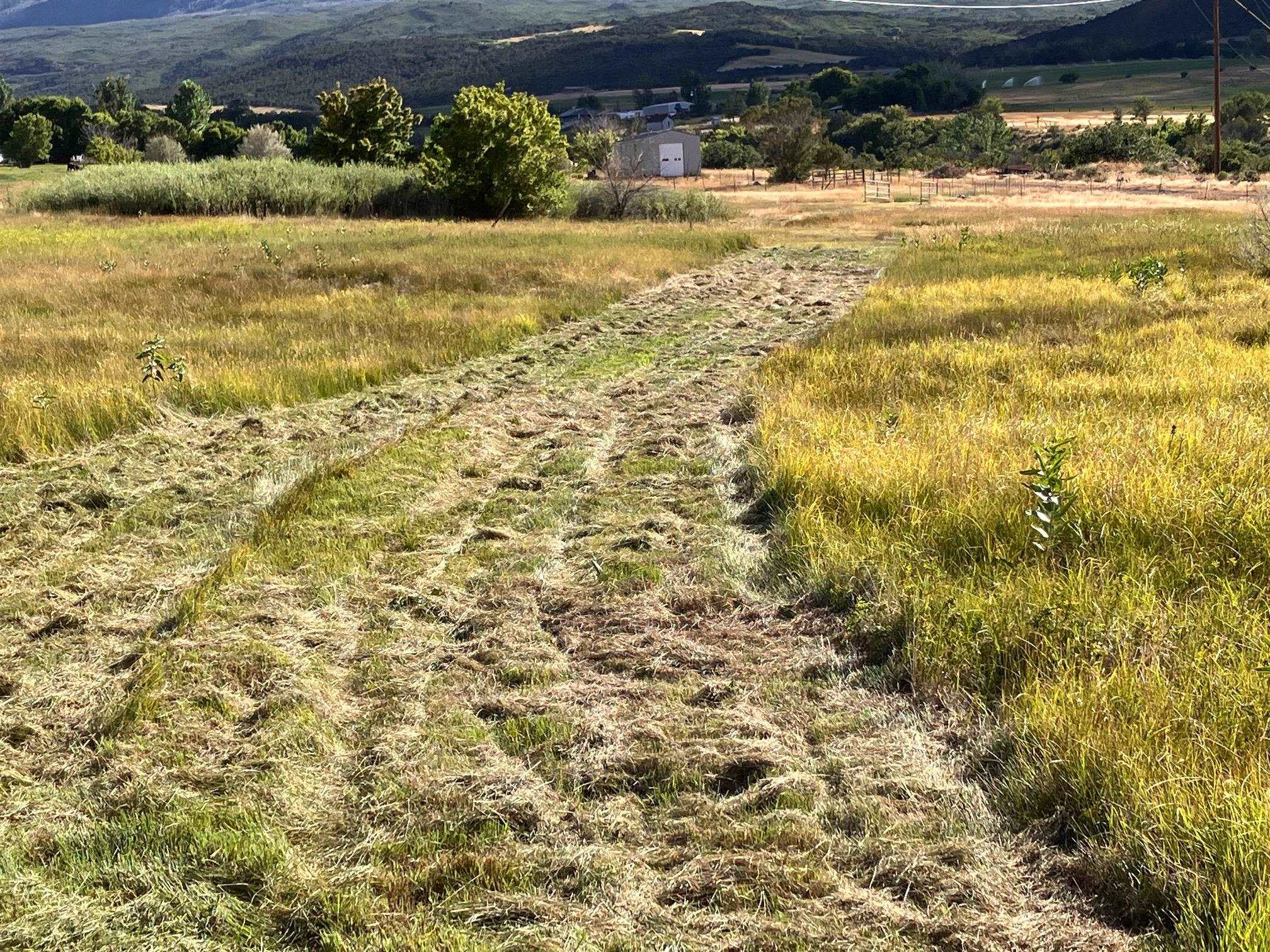 9440 48 2/10 Road Mesa, CO 81643 - Photo 23 of 29