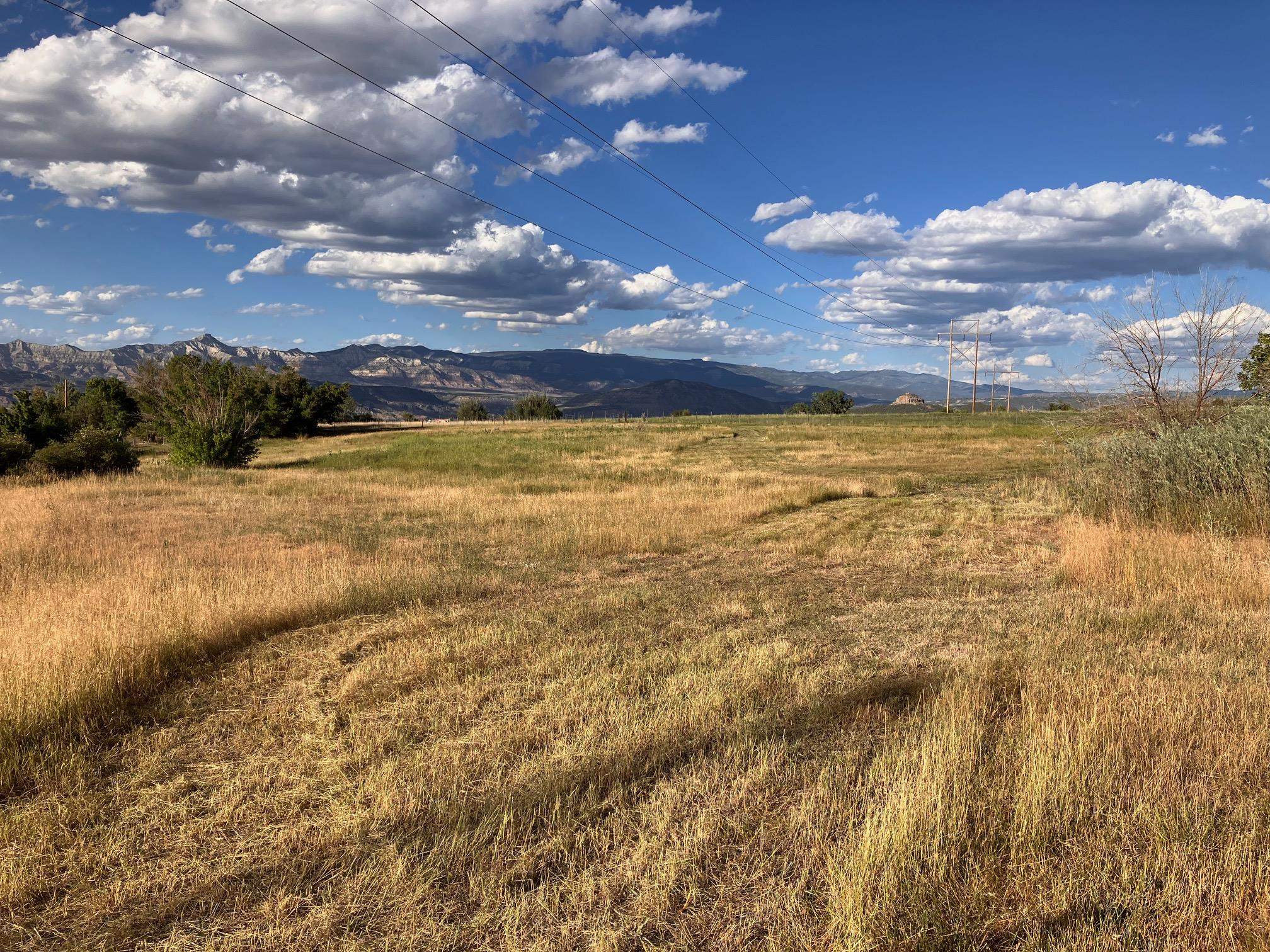 9440 48 2/10 Road Mesa, CO 81643 - Photo 26 of 29