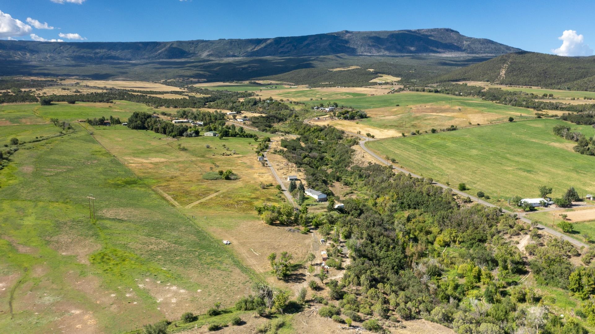 9440 48 2/10 Road Mesa, CO 81643 - Photo 3 of 29