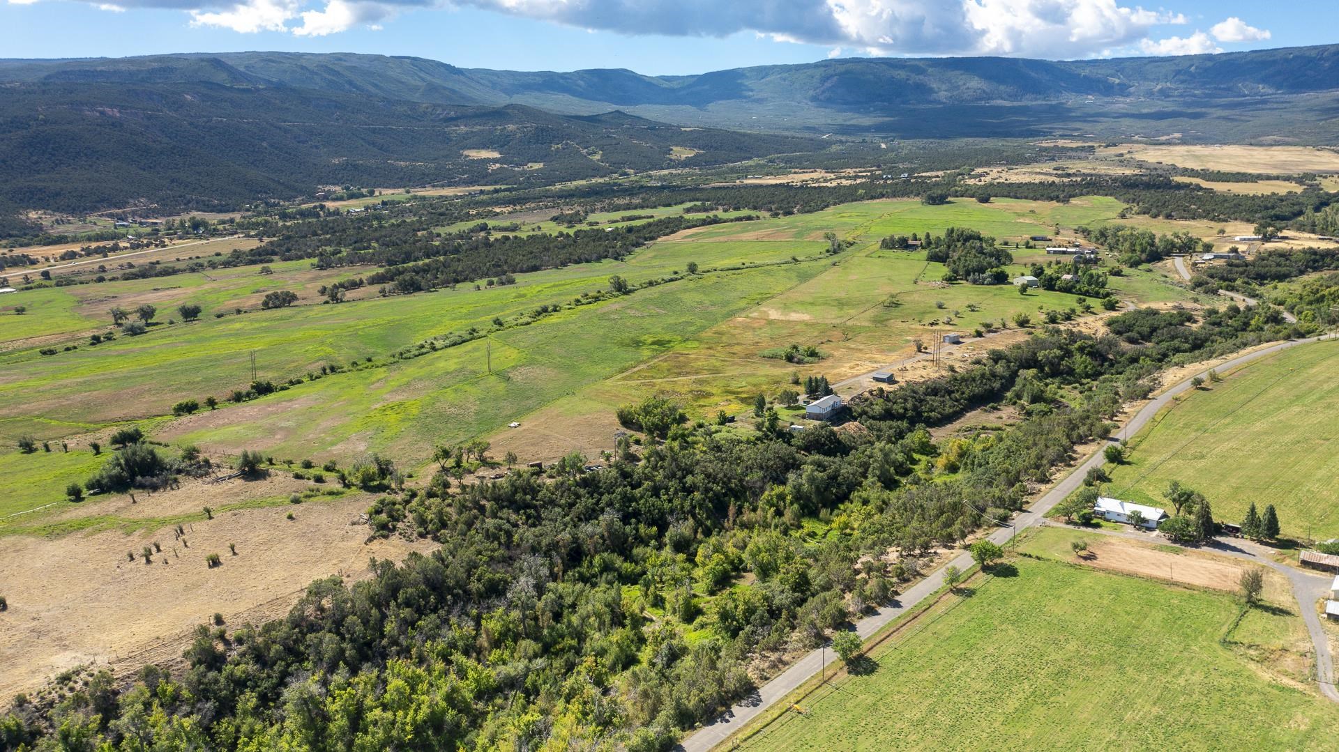 9440 48 2/10 Road Mesa, CO 81643 - Photo 4 of 29