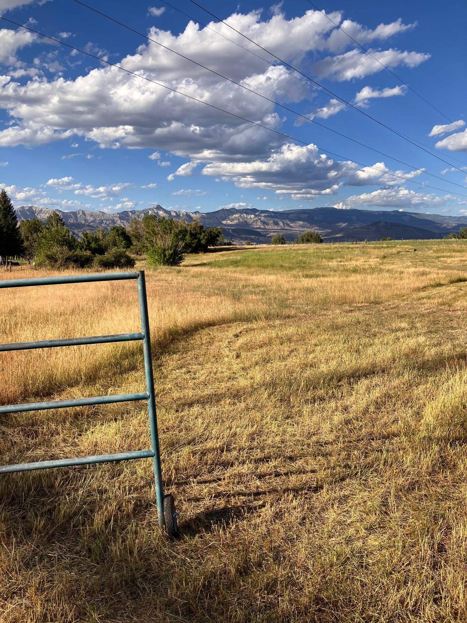 9440 48 2/10 Road Mesa, CO 81643 - Photo 7 of 29