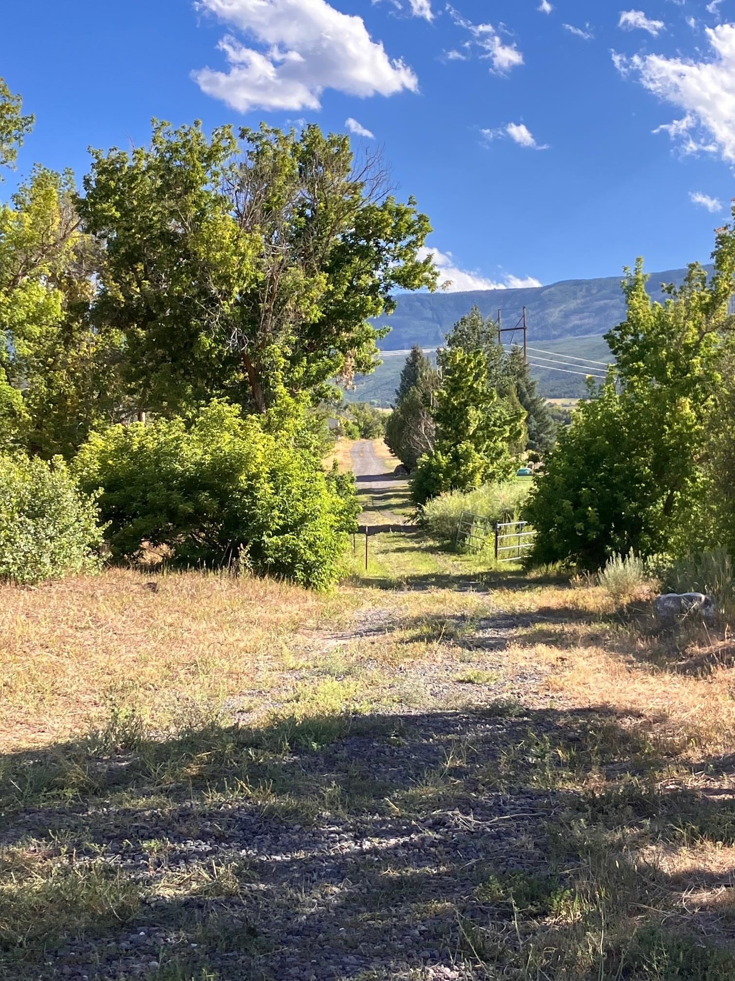 9440 48 2/10 Road Mesa, CO 81643 - Photo 8 of 29