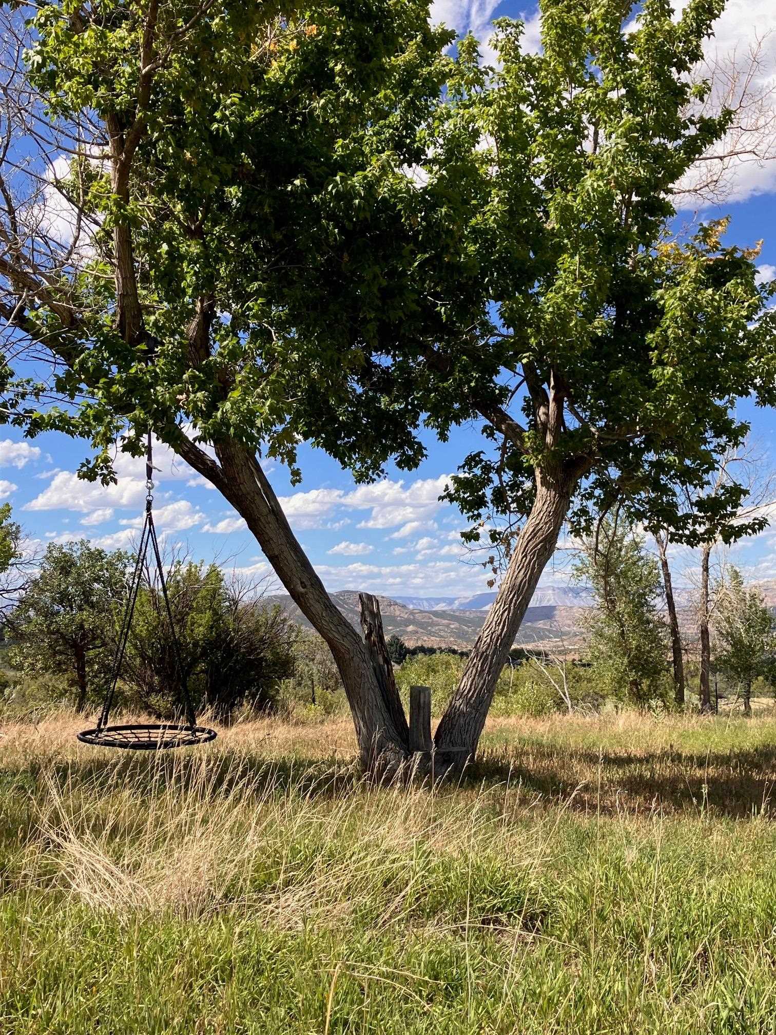 9440 48 2/10 Road Mesa, CO 81643 - Photo 9 of 29