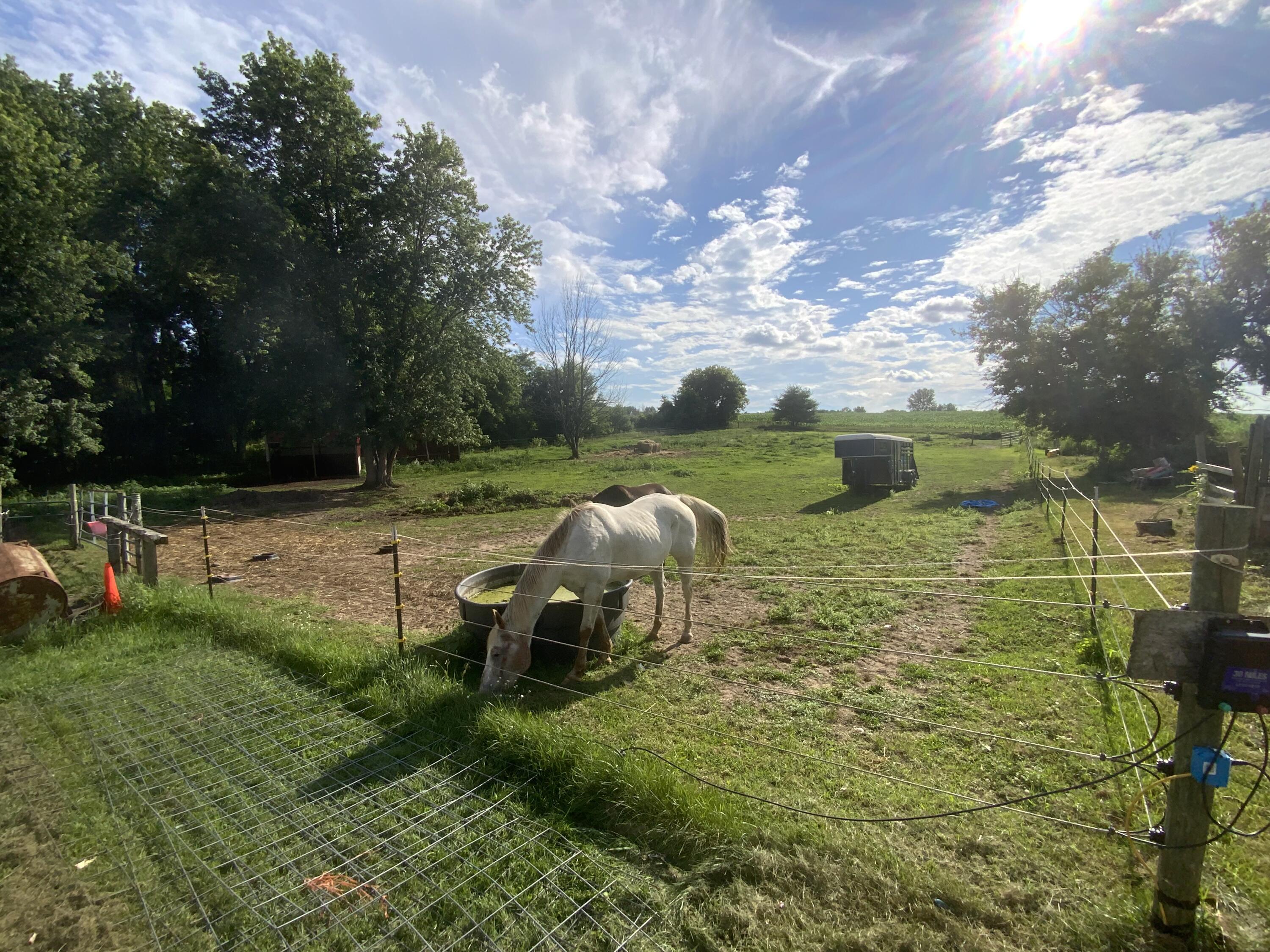 8732 Kinch Road Jackson, MI 49201 - Photo 5 of 14 IMG_1046