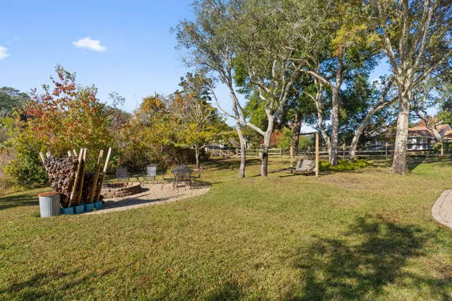 a view of a yard with plants and trees