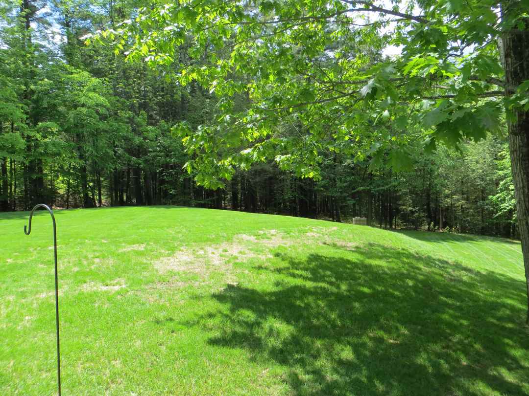 364 Forest Road Wolfeboro, NH 03894 - Photo 7 of 37 Gallery Image 7