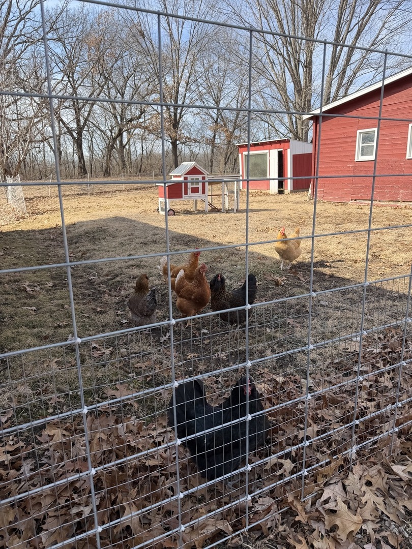 21186 Mathew Road Sterling, IL 61081 - Photo 44 of 66 a view of a yard with wooden fence