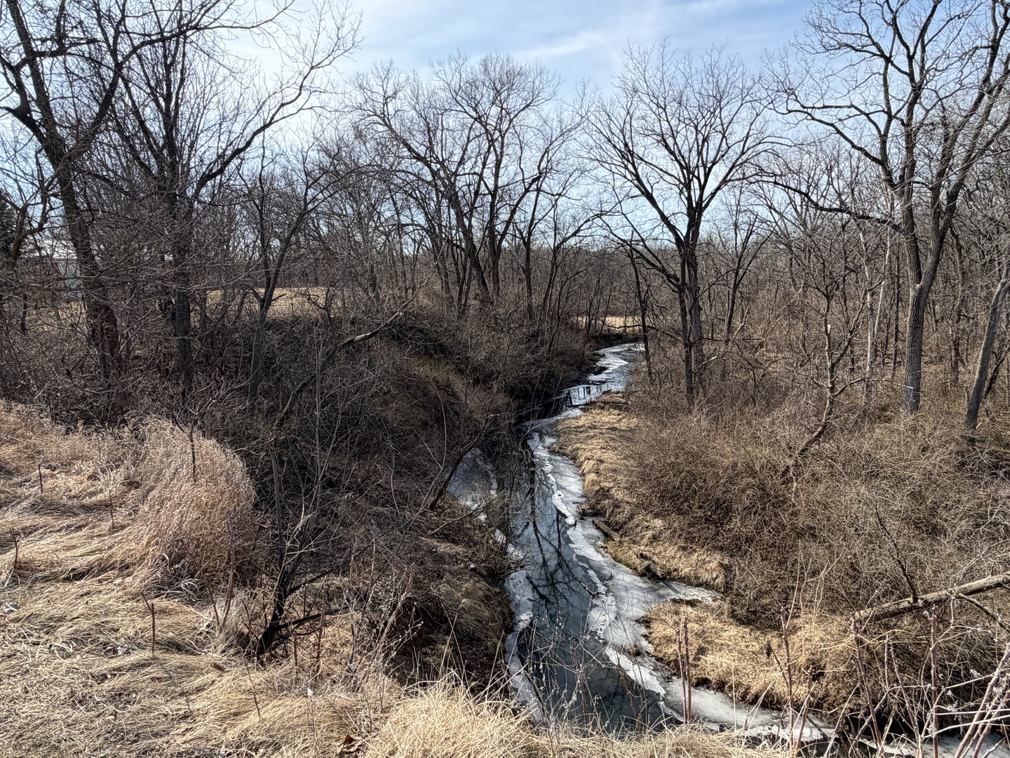 21186 Mathew Road Sterling, IL 61081 - Photo 5 of 66 a backyard of a house with large trees