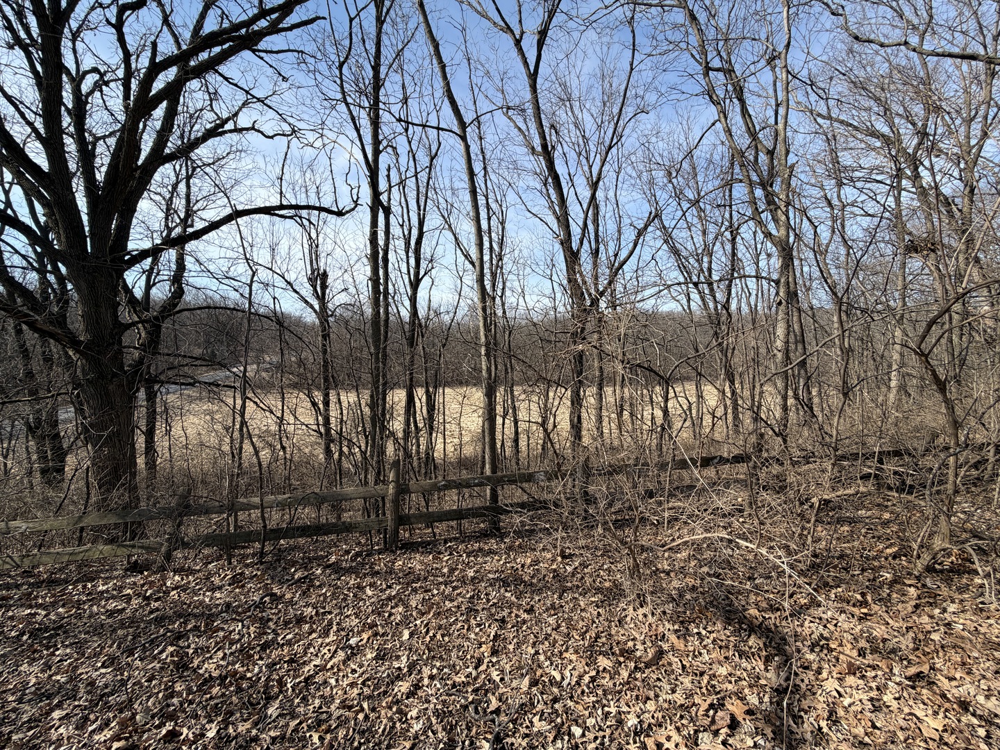 21186 Mathew Road Sterling, IL 61081 - Photo 54 of 66 a backyard of a house with lots of green space
